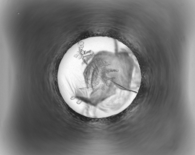 X0000095690817200802051310