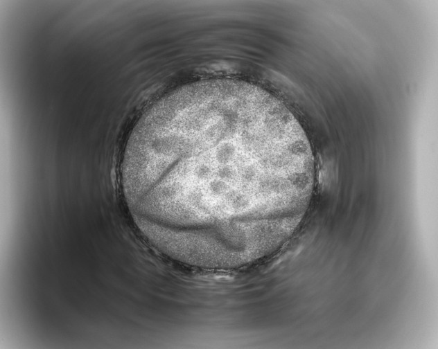 X0000095690819200802051310