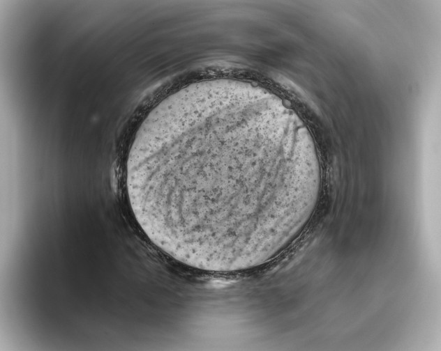 X0000095690822200802051310