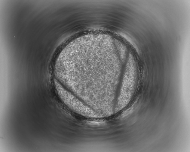 X0000095690823200802051310