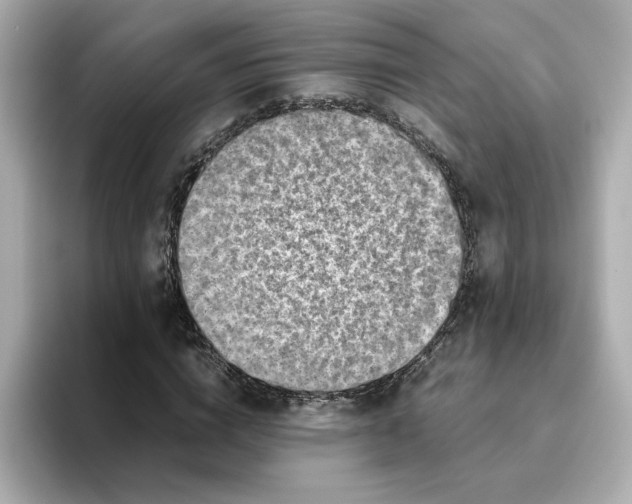 X0000095690824200802051310