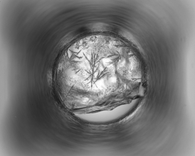 X0000095690825200802051310