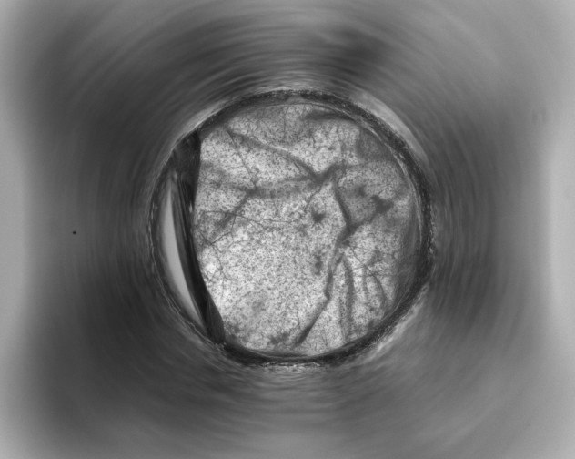X0000095690826200802051310