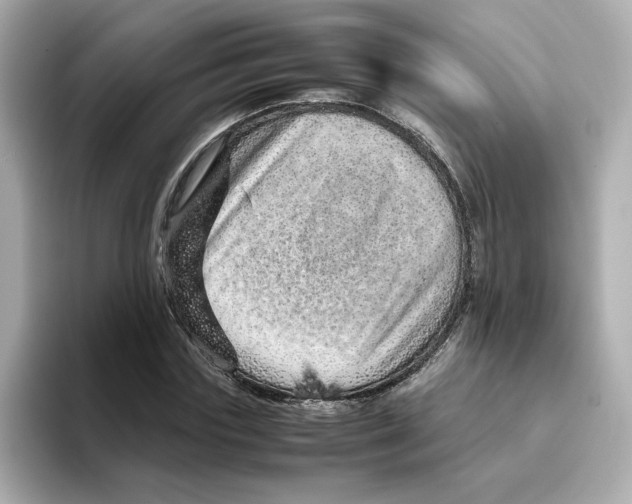 X0000095690827200802051310