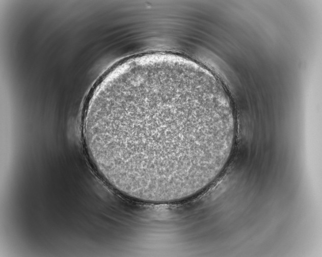 X0000095690828200802051310