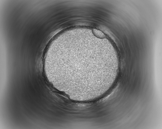 X0000095690829200802051310