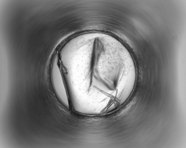 X0000095690830200802051310