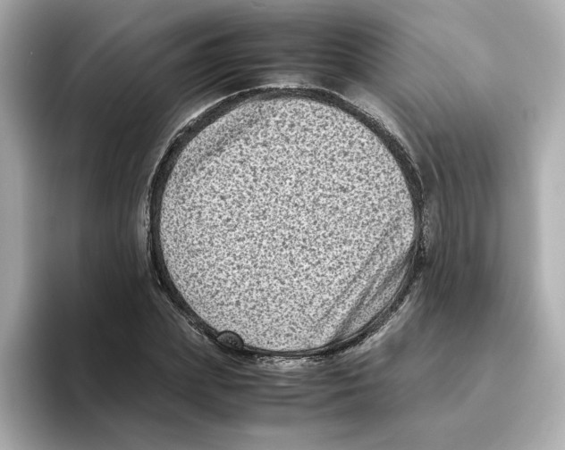 X0000095690831200802051310