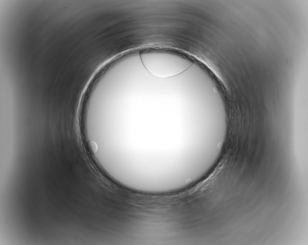 X0000095690832200802051310