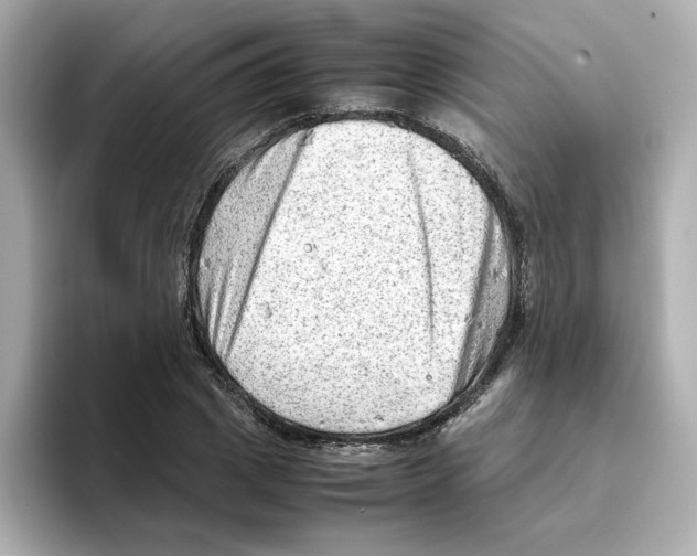 X0000095690833200802051311