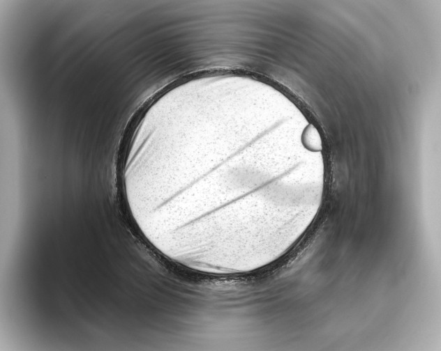 X0000095690834200802051311