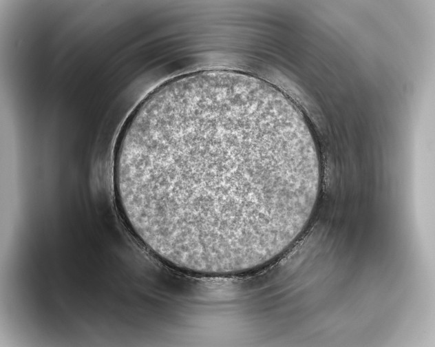 X0000095690836200802051311