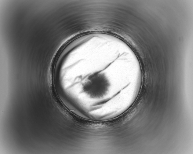X0000095690838200802051311