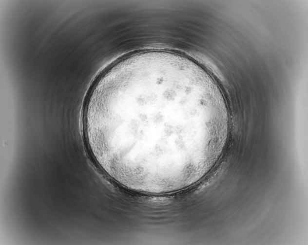 X0000095690839200802051311