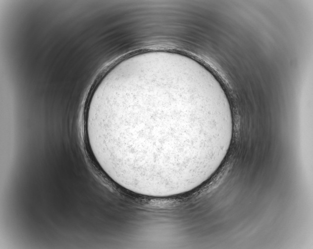 X0000095690840200802051311