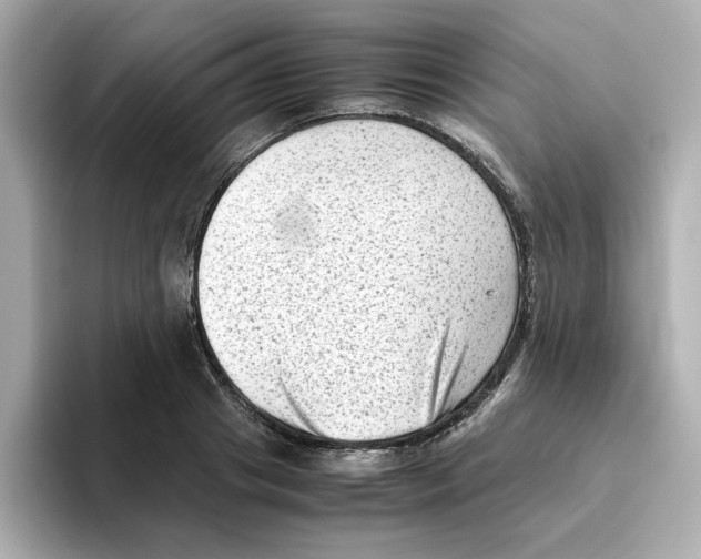 X0000095690841200802051311