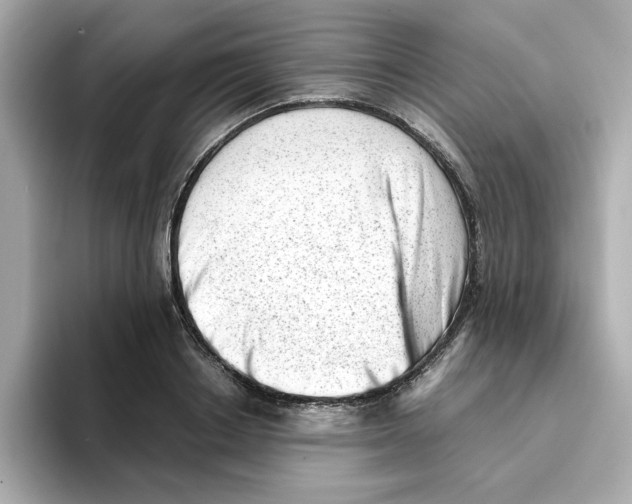 X0000095690842200802051311