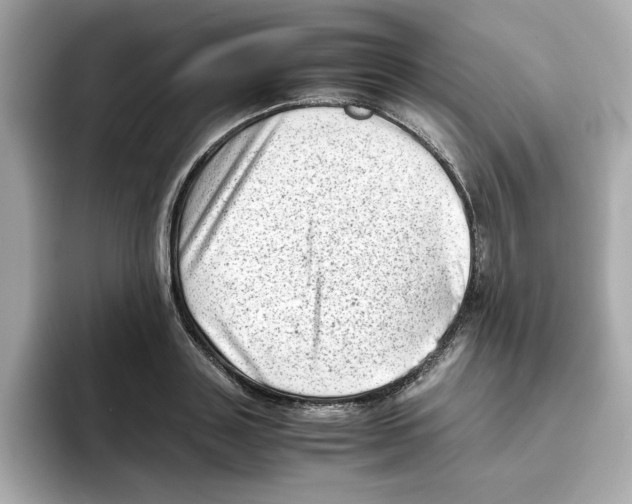 X0000095690843200802051311