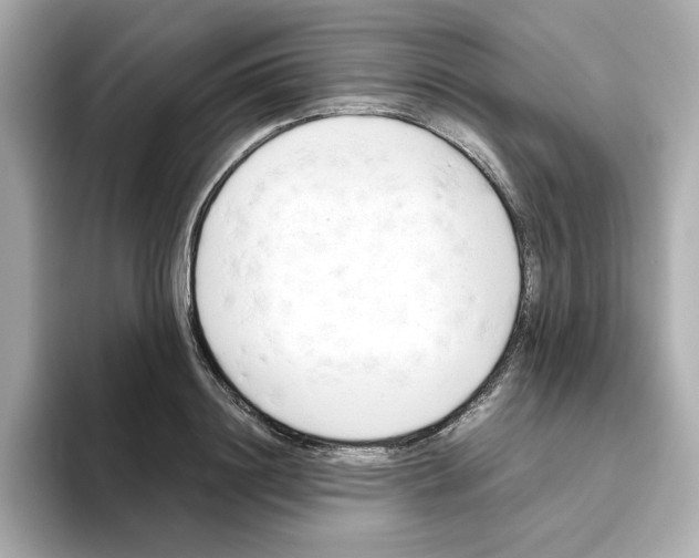 X0000095690844200802051311