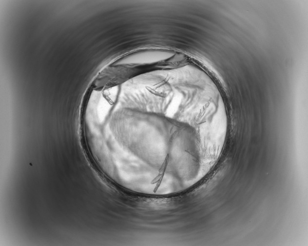 X0000095690845200802051311