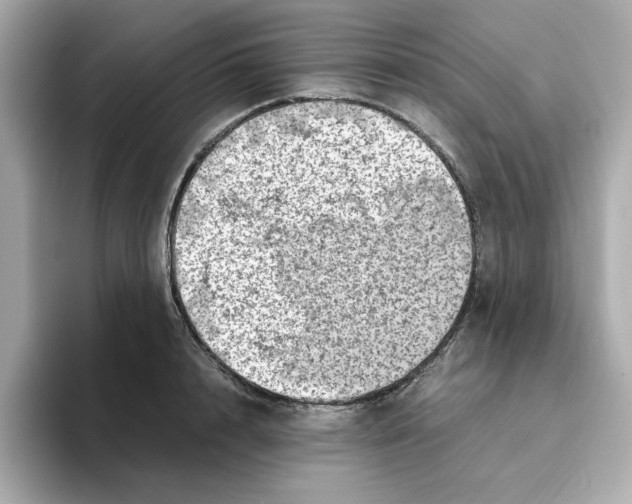 X0000095690848200802051311