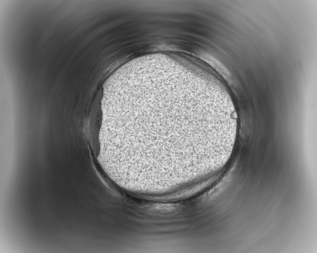 X0000095690849200802051311
