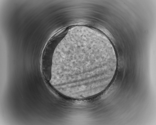 X0000095690850200802051311