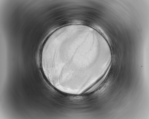X0000095690851200802051311