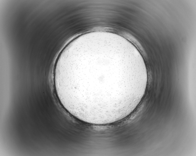 X0000095690852200802051311
