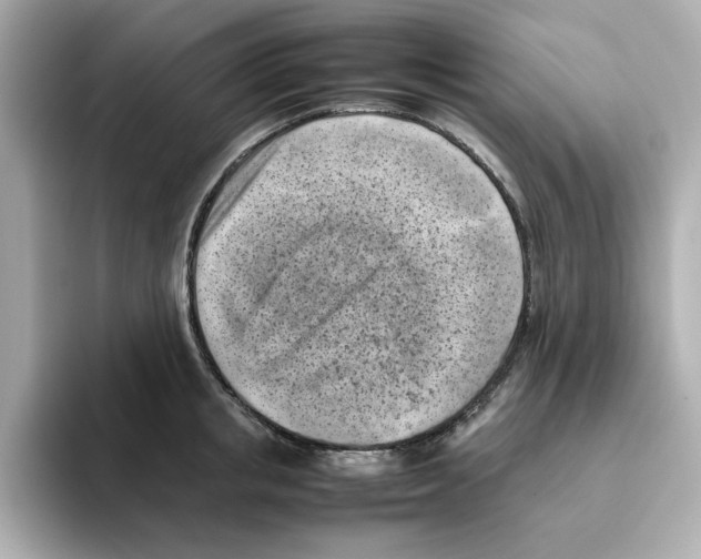 X0000095690853200802051311