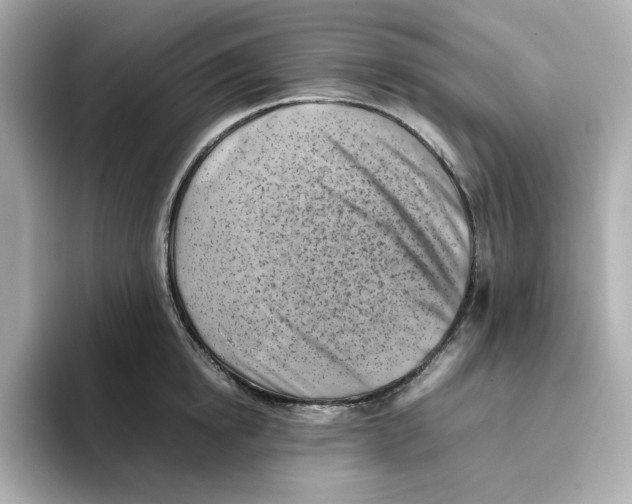 X0000095690854200802051311