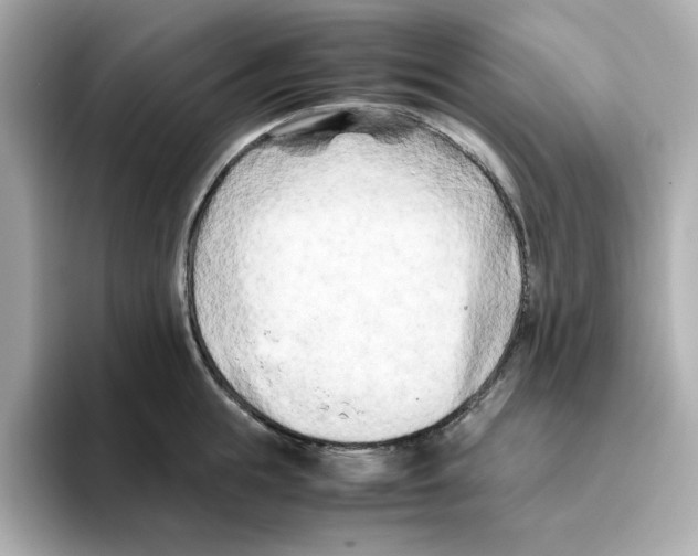 X0000095690855200802051311