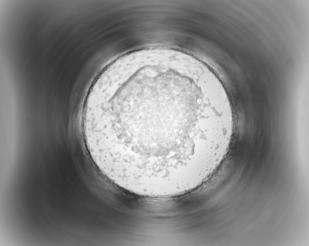 X0000095690856200802051311