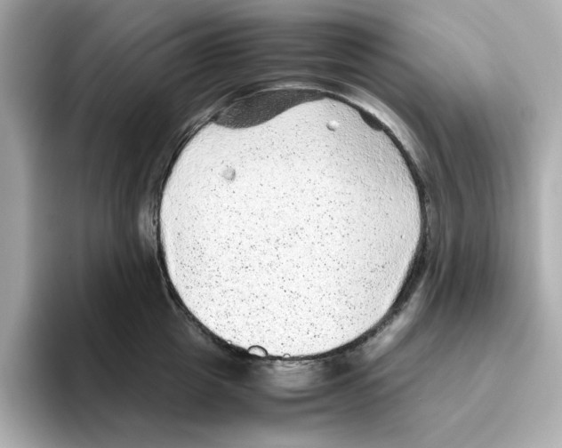 X0000095690857200802051311