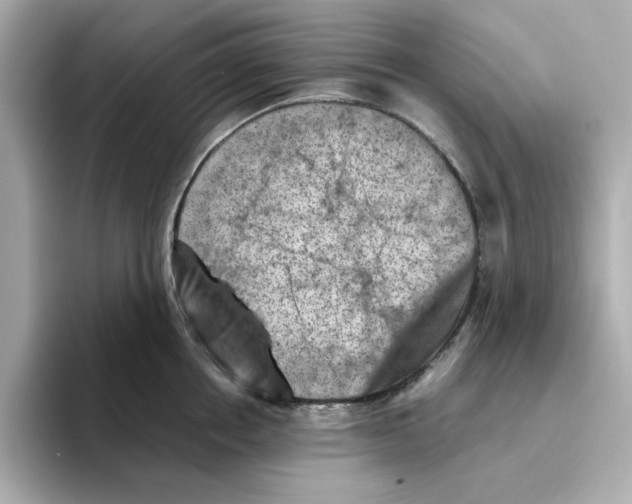 X0000095690858200802051311