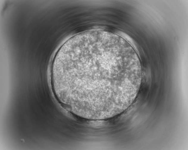 X0000095690859200802051311