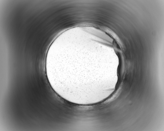 X0000095690860200802051311