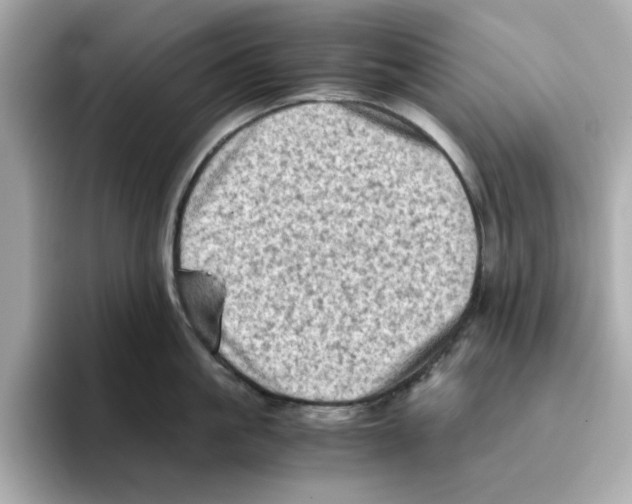 X0000095690861200802051311