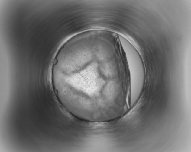 X0000095690862200802051311