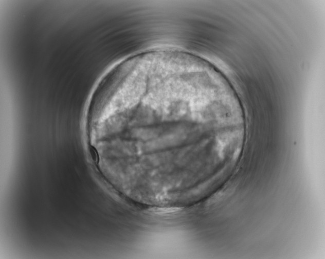 X0000095690864200802051311