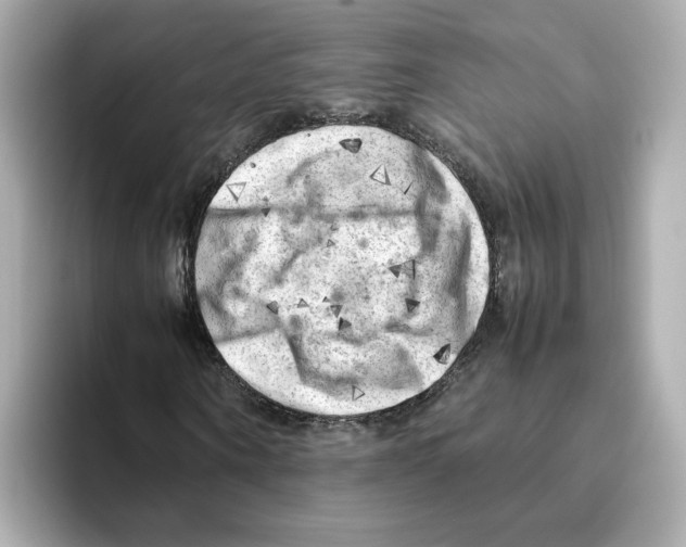 X0000095690866200802051310