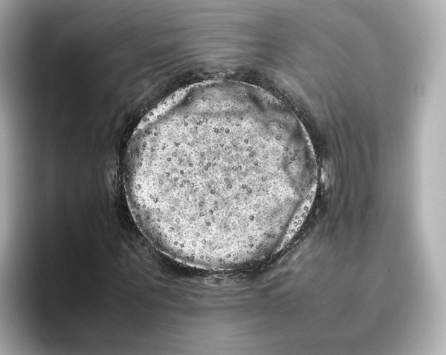 X0000095690867200802051310
