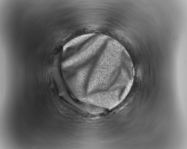 X0000095690868200802051310