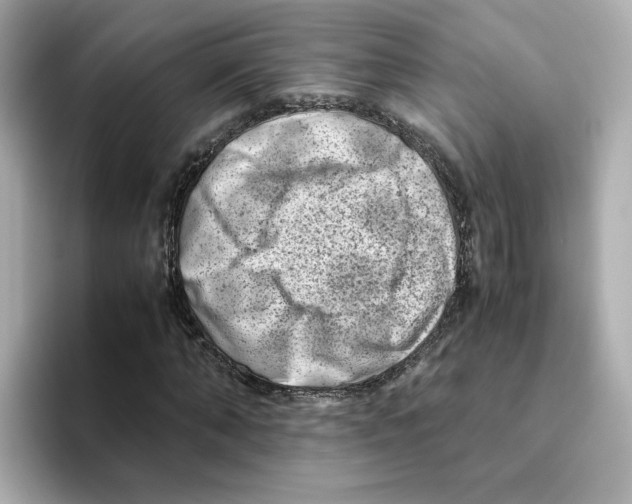 X0000095690870200802051310