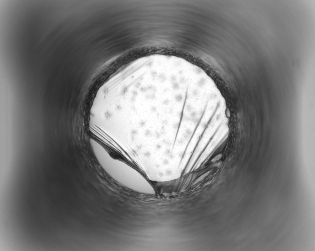 X0000095690872200802051310