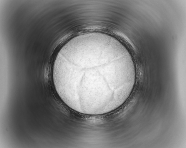 X0000095690874200802051310