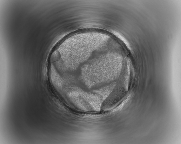 X0000095690877200802051310