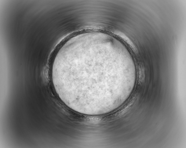 X0000095690878200802051310