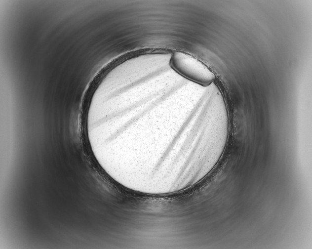 X0000095690880200802051310