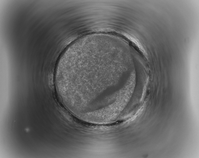 X0000095690881200802051310